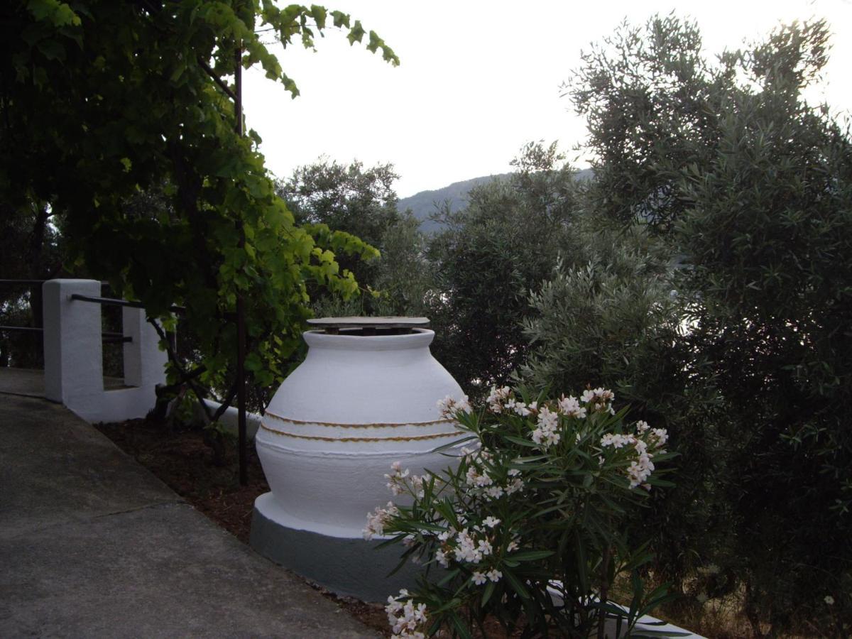 Ourania Sea Breath Daire Punta Dış mekan fotoğraf
